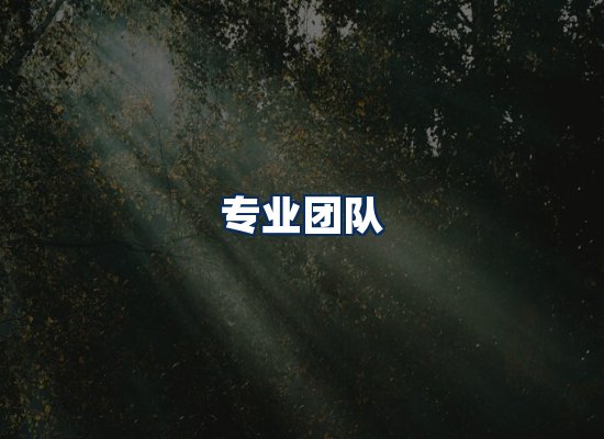 专业团队